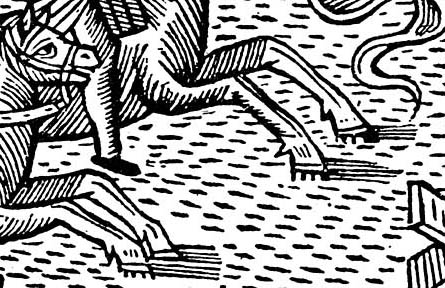 Magnus--ice hooves and blank people detail hooves