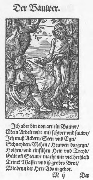 Amman farmer Amman farmer