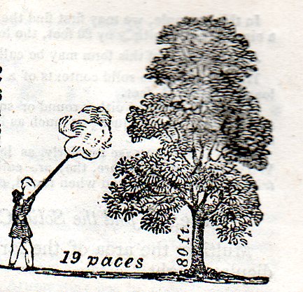 Old math shooting tree401