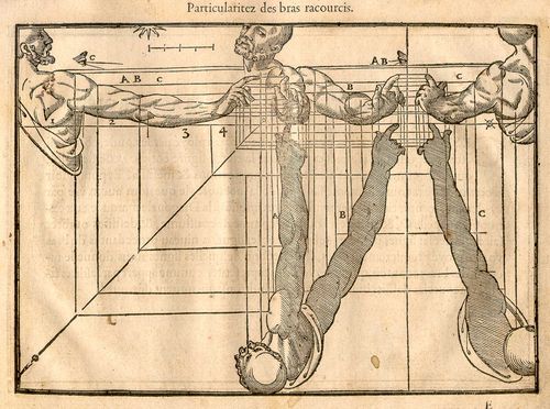 Cousin_p16 Cousin_p16