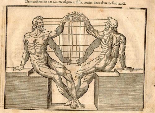 Cousin_p32 Cousin_p32