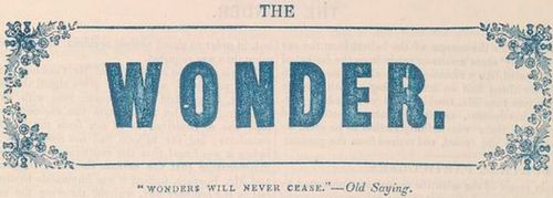 Ballooning wonder detail