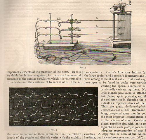 Marey mechanical heart817