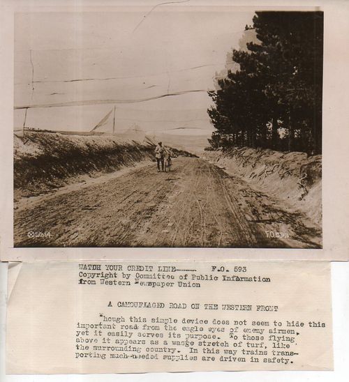 Camouflage bike820 Camouflage bike820