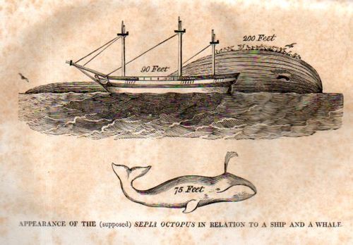 Pd---W-9 Sole Prop023