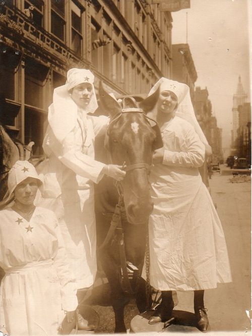 WWI Photo  three nurses and horse170
