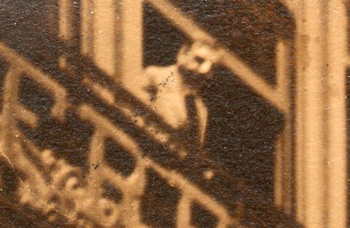 WWI Photo  three nurses and horse171