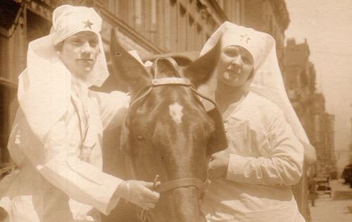 WWI Photo  three nurses and horse172
