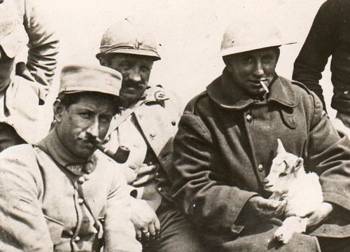 WWI Dogs182