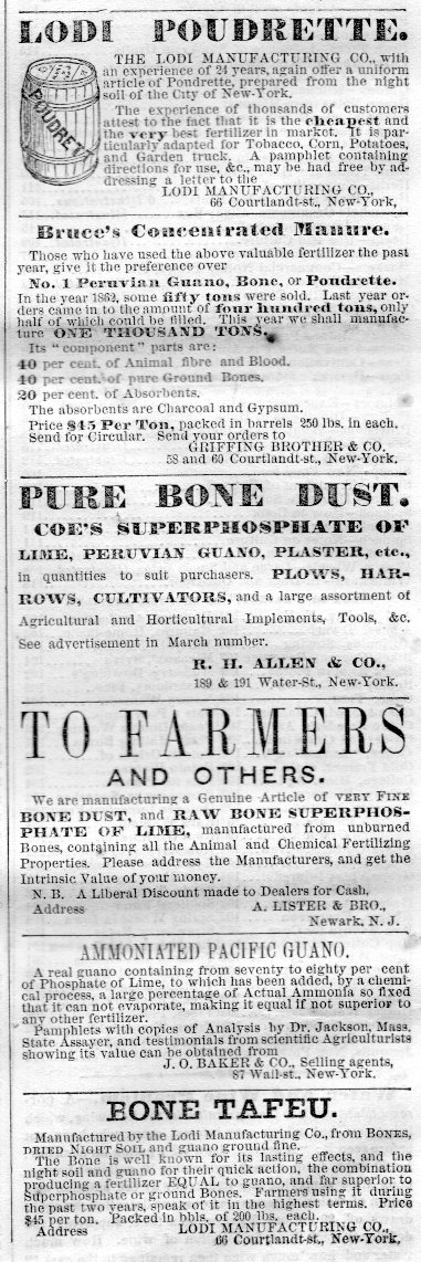 Bone dust750 Bone dust750