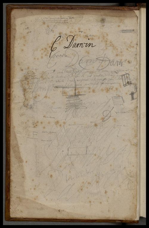 Darwin ms childhood Darwin ms childhood