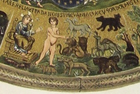 Ongania 16 creation detail_3 Adam