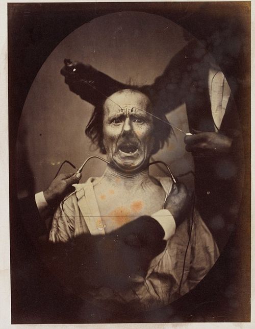 Darwin Expression Darwin Expression