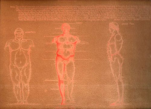 Rimmer Odd137 Rimmer Odd137