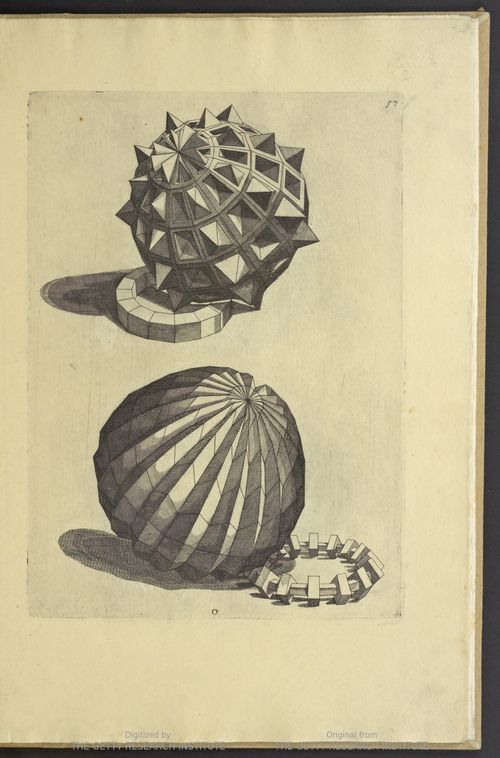 Sirigatti forms _4_ Sirigatti forms _4_