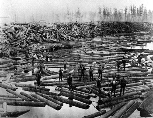 Logging rivers