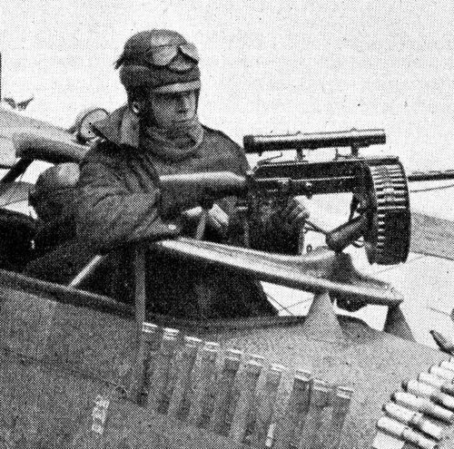 WWI pigeon233 WWI pigeon233