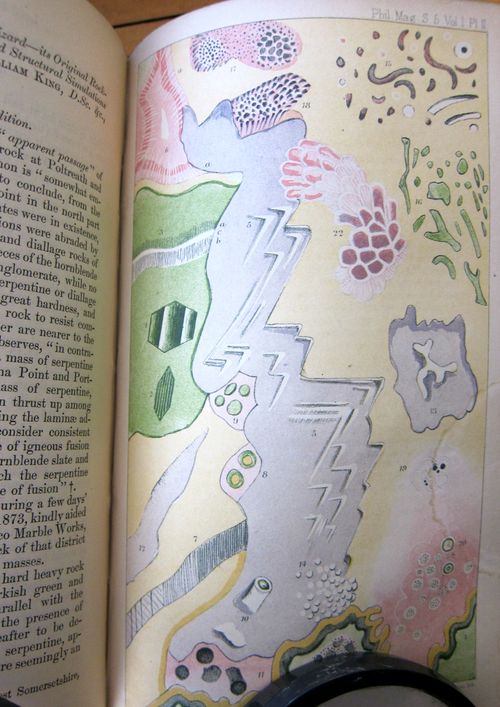 Serpent stone Serpent stone