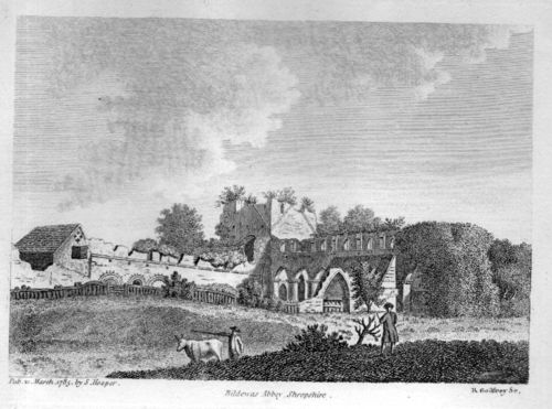 Obviousness cow078 Obviousness cow078