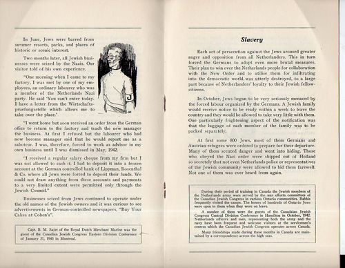 Witness from the netherlands f170