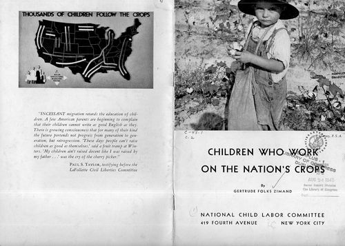 Children who work 11358