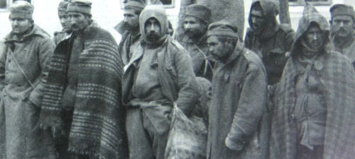 WWI Project 1914 Serbian prisoners detail