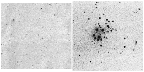 Book universe montage