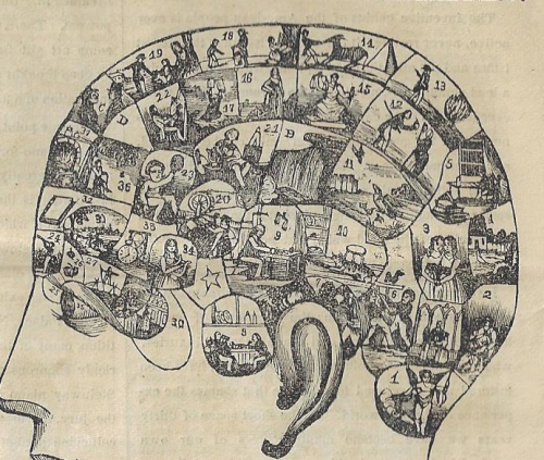 American Agriculturalist 1865 phreology detail