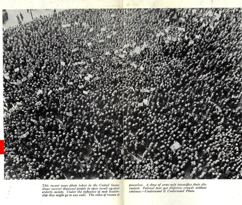 Books covers red line _4_ detail