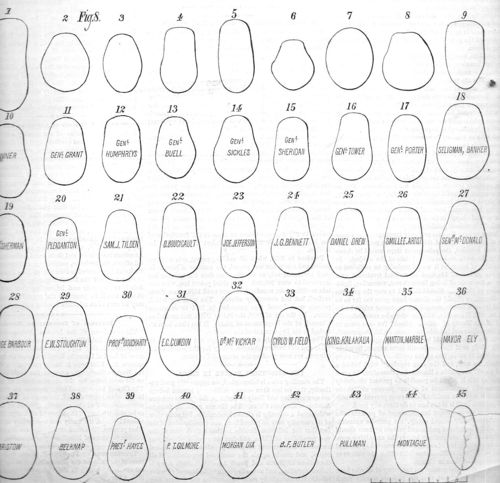 Hat conformator head shapes303