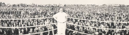 Panorama--boxing detail