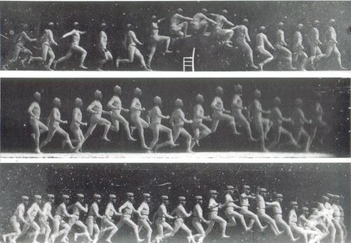 Chair Muybridge