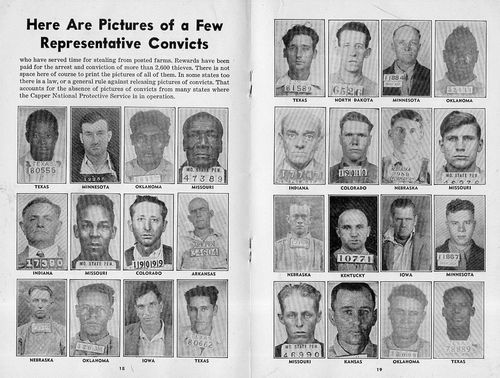 Convict farm samp-ler910 Convict farm samp-ler910