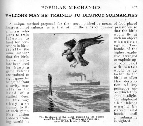 Exploding falcons956