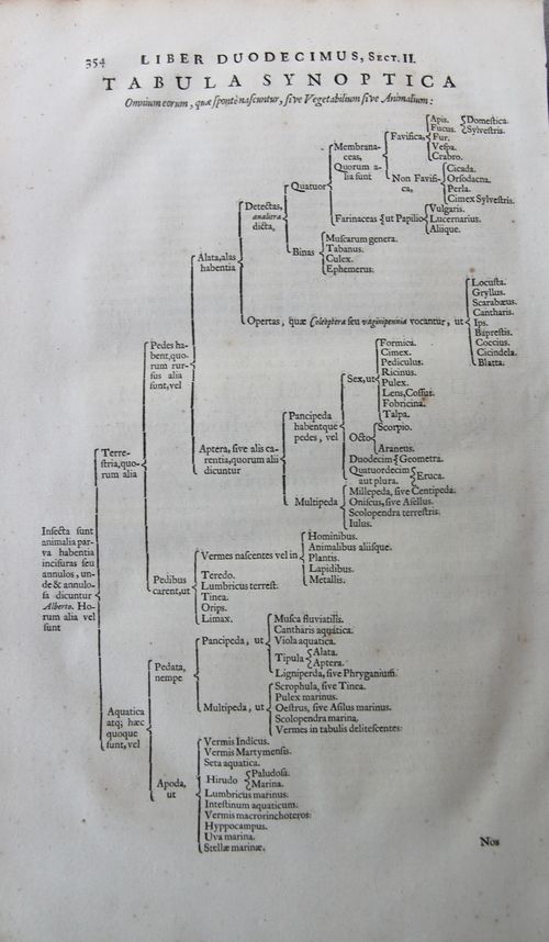 Kircher tabula synoptica
