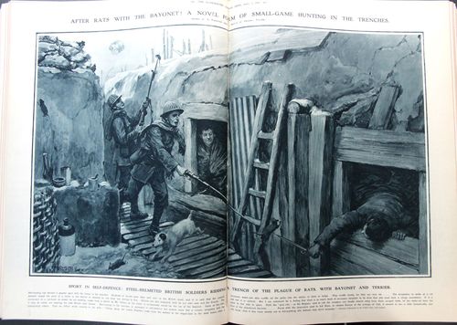 WWI Project Rat Hunting