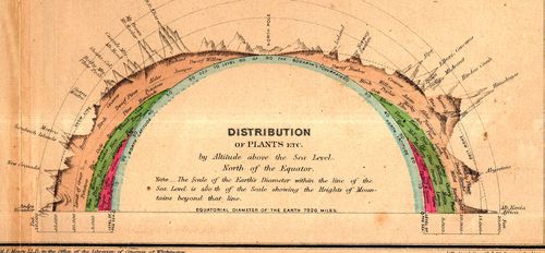 Maps elevation maury161