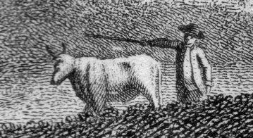 Obviousness cow079 Obviousness cow079