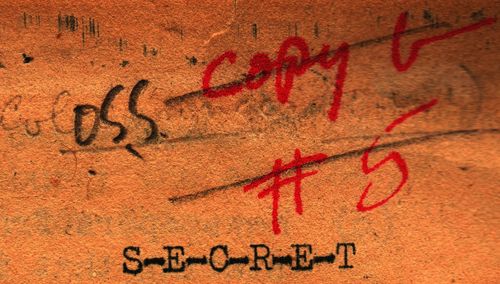 OSS Netherlands219 detail