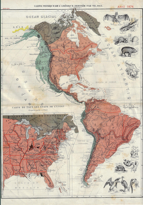 US Map infographic animals