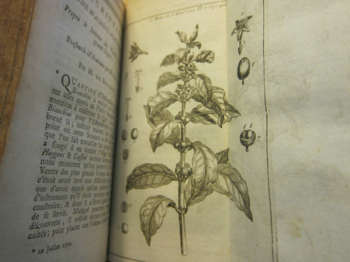 Academie sciences 1713 coffee_2_