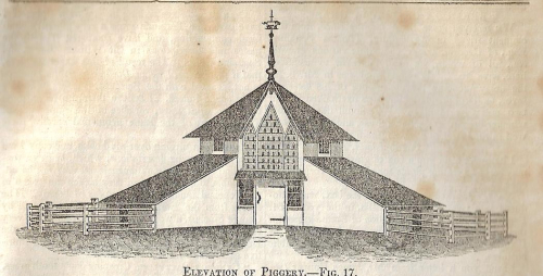 Piggery _2_ elevation