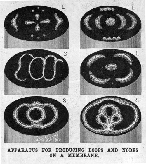 Dust blower dancing298