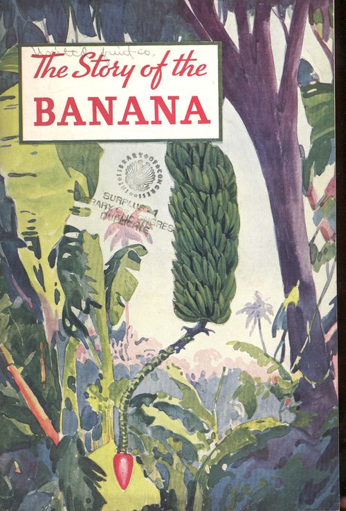 + story banana