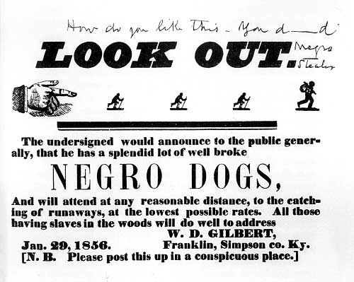 Negro dogs