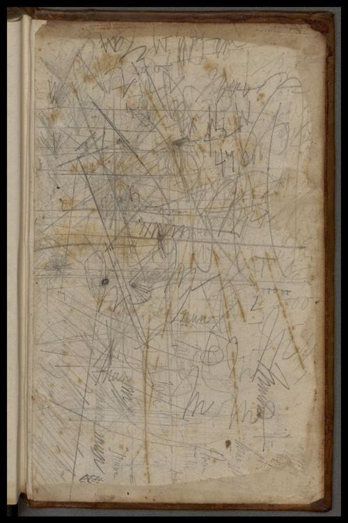 Darwin ms childhood 2 Darwin ms childhood 2