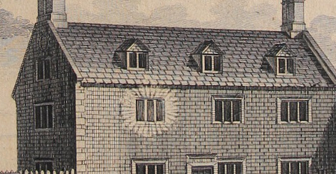 Newton alpha omega detail