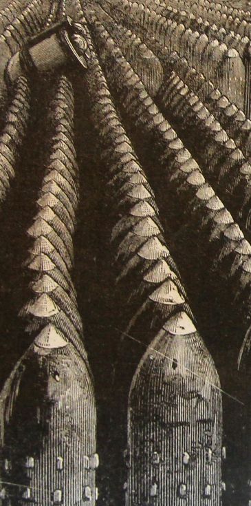 Woolich shells detail Woolich shells detail