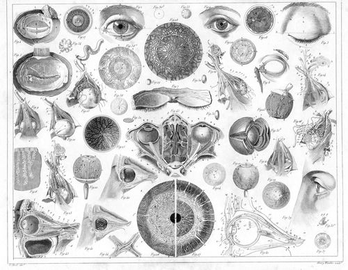 Eyeballs159 Eyeballs159