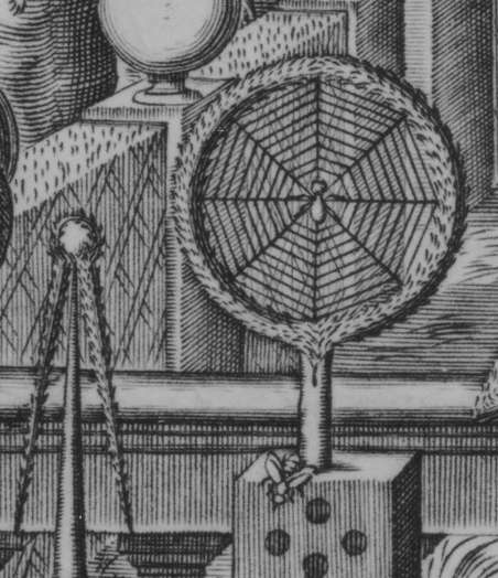 MATHEMATICAL garden spider